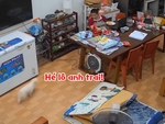 Cậu chủ mừng như bắt được vàng khi thấy chó cưng 'mất tích' trở về