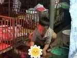 Cậu bé 9 tuổi gây sốt với 'job hè' đặc biệt