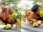 Chàng trai ngã dập mông khi ngồi trên mái tôn live stream cảnh ăn xoài