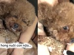 Chọn con tim hay là nghe lý trí?!