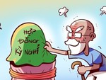 Cụ già hưu trí ăn nhầm quả 'đào lửa'