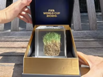 Vì sao mảnh cỏ sân chung kết World Cup giá gần 12 triệu đồng?