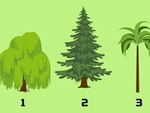 Quiz: Bạn bình tĩnh và hiếm khi bốc đồng?