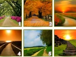 Quiz: Bạn là người thế nào?