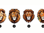 Quiz: Bạn cần làm điều gì để tránh những rủi ro trong tương lai?
