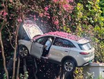 SUV 'đỗ’ trên cây sau chặng đường trải... hoa hồng