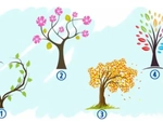 Quiz: Cảm xúc nào đang chi phối cuộc sống của bạn?