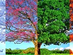 Quiz: Bạn cởi mở, năng động hay trầm tĩnh, kín đáo?