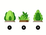 Quiz: Bạn nên đầu tư thời gian vào việc gì nhiều hơn?