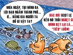 Đi 'du lịch' sau cơn mưa lớn, lũ cá phát hiện thói quen xấu