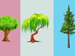 Quiz: Khả năng vượt qua khó khăn của bạn như thế nào?