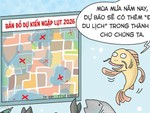 Mùa mưa, thành phố có thêm 'điểm du lịch'
