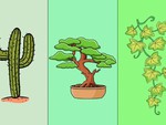 Quiz: Bạn đối mặt với thay đổi của cuộc sống như thế nào?