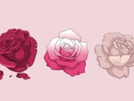 Quiz: Sức mạnh lớn nhất của bạn là gì?