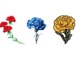Quiz: Mọi người nghĩ gì về bạn?