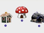 Quiz: Điểm mạnh nào giúp bạn trở nên đặc biệt?