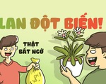 Thần vàng từ chức
