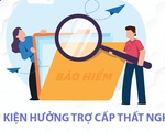 Xin trợ cấp bảo hiểm thất nghiệp nhưng công ty cũ không cung cấp hợp đồng lao động?