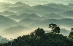 Mở mắt thấy thiên đường Bảo Lộc