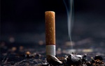 Bản tin sáng 25-7: TP.HCM tổng kết hoạt động không hút thuốc lá tại các điểm giao thông