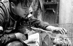 Bản tin tối 2-8: Hình ảnh xúc động về chiến sĩ chữa cháy hy sinh