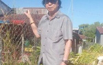 Podcast: Cưỡng chế sai, chủ tịch huyện bồi thường 200 triệu cho 1 cựu chiến binh