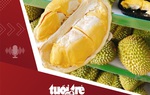Tin tức tối 13-3: Giá sầu riêng giảm từ 200.000 đồng xuống còn 75.000 đồng/kg