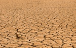 Podcast: 3.000 tỷ USD bị 'đốt cháy' trong năm nay bởi sức nóng của El Nino