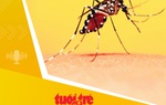 Tin tức sáng 5-7: Muỗi sinh sản nhanh, nguy cơ bùng phát sốt xuất huyết