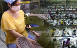 Podcast: Hơn 17% công nhân thường xuyên 'vay nóng' vì thu nhập không đủ chi tiêu