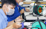 Người trẻ trước câu hỏi 'Có nên bỏ học theo đuổi đam mê?'