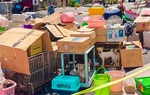 Xôn xao 19 con chó để cả đêm ở sân chung cư tại TP.HCM