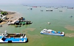 TP.HCM yêu cầu xem xét đề xuất làm đường vượt biển Cần Giờ - Vũng Tàu của Vingroup