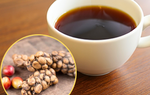 Vì sao cà phê chồn có hương vị thơm ngon đặc biệt?