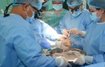 Tại Việt Nam chủ yếu ghép tạng từ người cho tạng còn sống, vì sao?