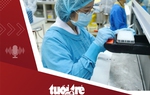 Tin tức tối 25-5: Bộ Y tế ra công văn hỏa tốc trước tình hình COVID-19, sốt xuất huyết gia tăng