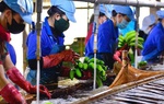 Chuyên gia Nguyễn Đình Cung nói về tác động của Nghị quyết 68 đối với doanh nghiệp tư nhân
