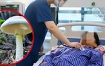 Từ vụ 8 người nhập viện sau bữa ăn lẩu nấm: Nhận biết nấm độc, xử lý khi nghi bị ngộ độc