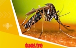 Tin tức sáng 18-6: TP.HCM cảnh báo nguy cơ bùng phát bệnh sốt xuất huyết từ giữa tháng 6