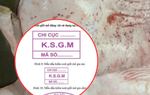 Cục Chăn nuôi và Thú y: Heo bệnh của công ty C.P. được đóng dấu vuông là sai quy định
