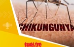 Tin tức sáng 16-8: Tăng cường giám sát tại cửa khẩu quốc tế, chủ động kiểm soát bệnh Chikungunya