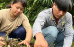 Tâm sự của nữ sinh nghị lực vừa trúng tuyển ngành điều dưỡng sau nhiều biến cố