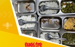 Tin tức sáng 19-9: Kiểm tra đột xuất các nhà cung cấp nguyên liệu, suất ăn bán trú