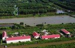 Trường học hàng chục tỉ đồng ở Cà Mau bỏ hoang không học sinh đến lớp