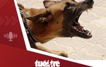 Tin tức tối 16-1: Bốn người trong gia đình bị chó cắn nhưng không tiêm phòng, một người tử vong