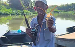Về miền Tây xem câu tôm trên sông Hậu ở Long Xuyên, An Giang