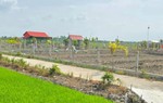 Xẻ ruộng lập 'vườn sinh thái' trái phép, rao bán hàng trăm triệu mỗi nền