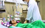 Chơi trốn tìm trong bụi cây, hai em nhỏ ở Cà Mau bị ong vò vẽ đốt hàng chục vết