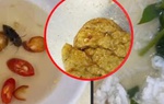 Kết quả kiểm tra vụ bữa ăn tập thể của sinh viên ở Huế bị phản ánh có gián, dòi và sâu