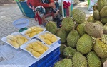 Sầu riêng '20k/kg' xuất hiện hàng loạt ở miền Tây, vì sao?